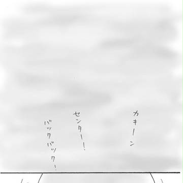 【山ヒバ】曇り空と、愛に溢れた祝日