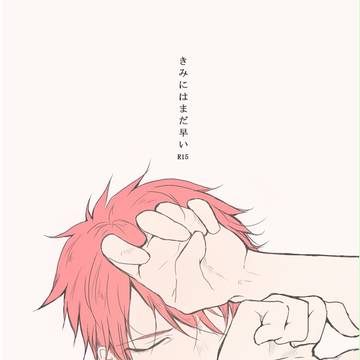 【腐】スパコミ無配【紫赤】