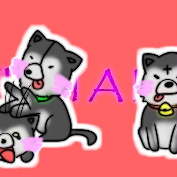 使命を持った猫たち