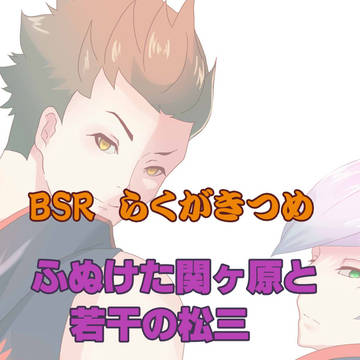 BSR  らくがきつめ