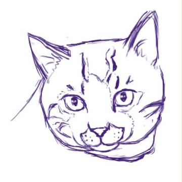 飼ってる猫描いてみた