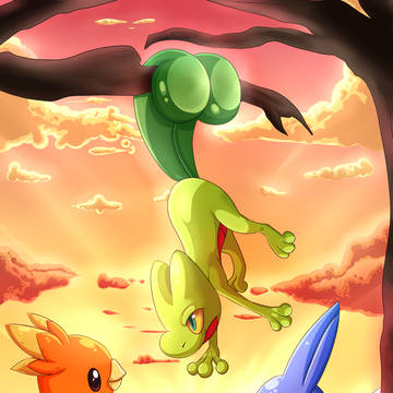 Which Starter Shall you Choose?