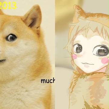 DOGE