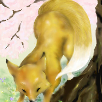 狐さん