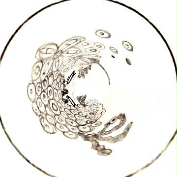 その、さきに、みえる、もの。
