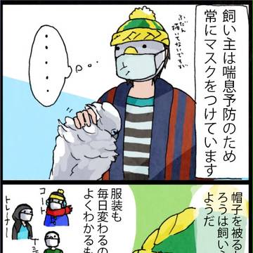 タイハクオウム：プチ視覚実験