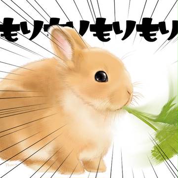 もりもりうさぎ
