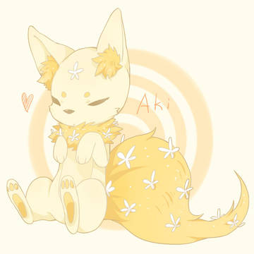 aki fox