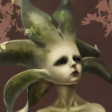 DZ家大花(BJD)