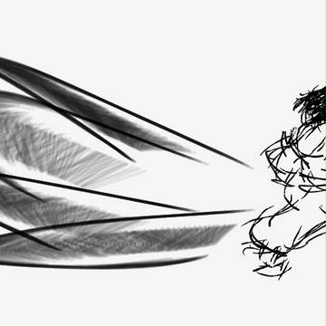 Ronin