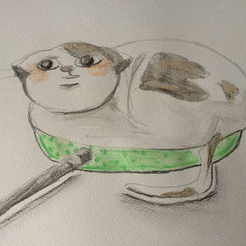 猫鍋