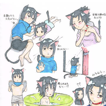 兄弟をネコにして飼いたい