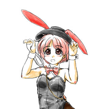 落書き バニ妙丸