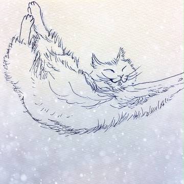 猫