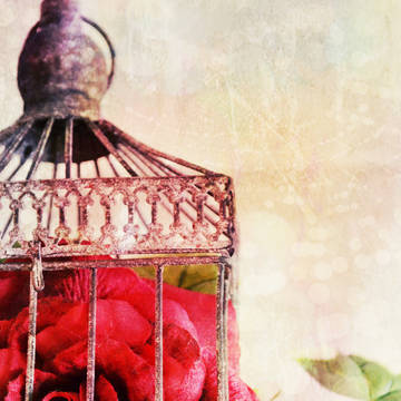 vintage garden.