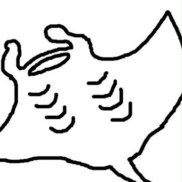 オニイトマキエイ(裏)