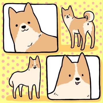 しんぷるわんこ