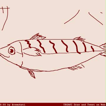 ＳＡＢＡ