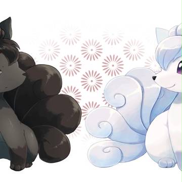 ロコンの日