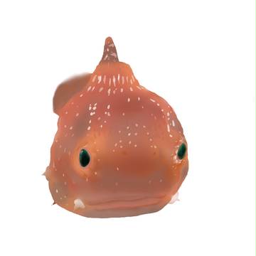 ダンゴウオ