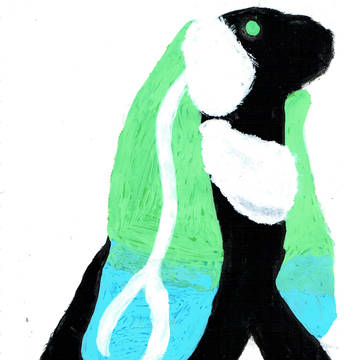 ウサギ
