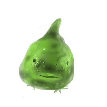 ダンゴウオ（抹茶色）