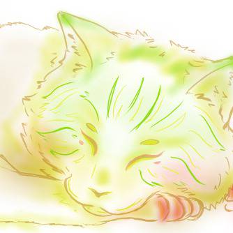 猫叔叔