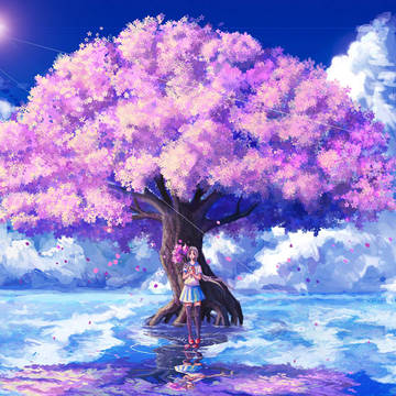 桜の海