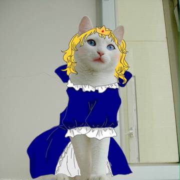 うちのこ