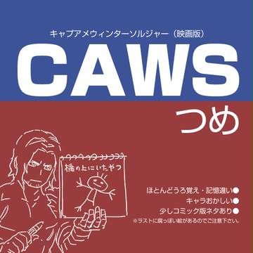 CAWSつめ