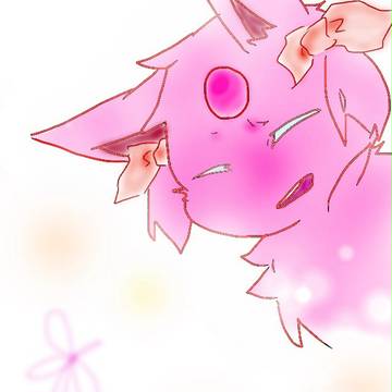 ポケたち