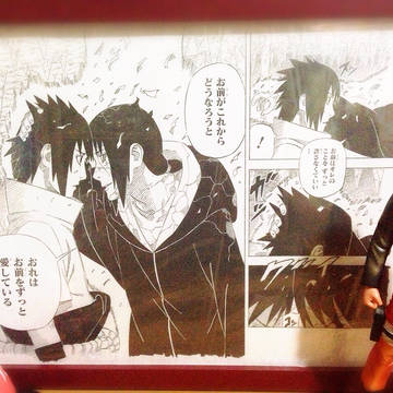 鼬君お誕生日おめでとう！