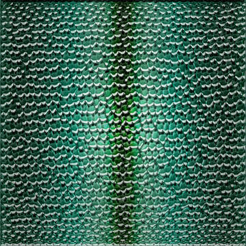 鱗テクスチャ