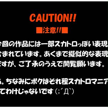 これはスカトロですか?