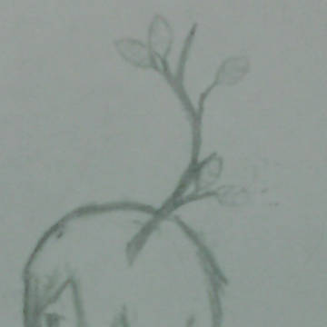 With Leaves Now