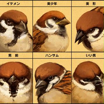 近所で見かけるイケメン