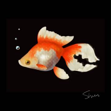 金魚