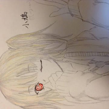 アナログで小鳩ちゃん(((つ・ω・)つ
