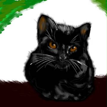 くろねこ