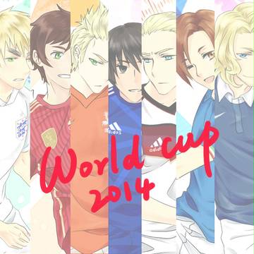 2014APH world cup