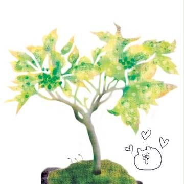 苔玉
