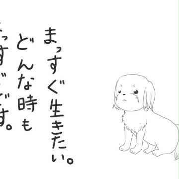 わんこ