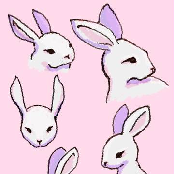 Bunnies