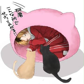 ネコハウスを覗いたら