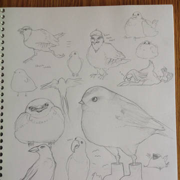 多くの鳥