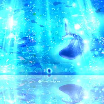 夢に見た、水族館。