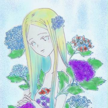 アジサイ
