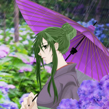 紫陽花