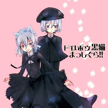 【WEB再録】ドロボウ黒猫まっしぐら！！