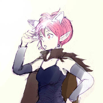 レイブンほか